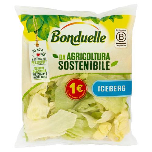 Bonduelle Iceberg 100 g