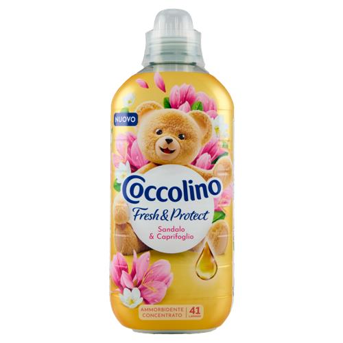 Coccolino Ammorbidente Concentrato Fresh & Protect Sandalo & Caprifoglio 41 Lavaggi 952 ml