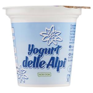 Yogurt delle Alpi ai Frutti di Bosco 125 g