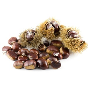 CASTAGNE GR.500 A (80/90)ITA