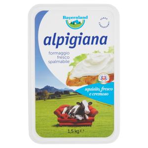 Bayernland alpigiana formaggio fresco spalmabile 1,5 kg