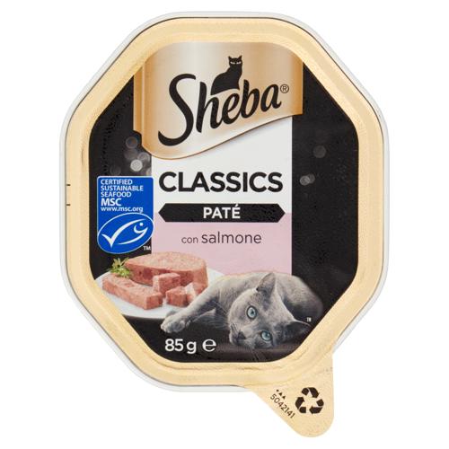Sheba Paté Classics Cibo Umido Gatto in Vaschetta con Salmone 85 g