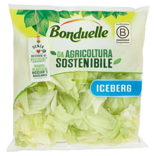 Bonduelle Iceberg 200 g