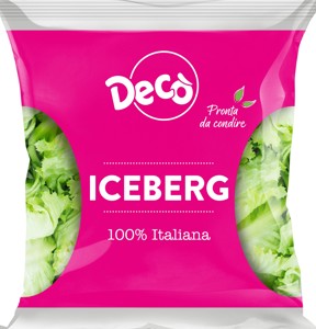 DECO'ICEBERG G.200