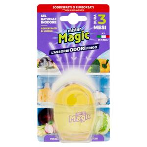 mister Magic Ovetto Assorbiodori Frigo con estratti naturali di Limone 40 g