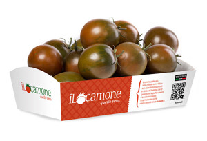 POMODORO CAMONE GR.300 ***