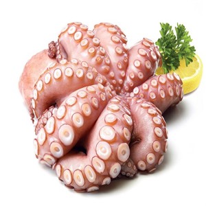 POLPI(Octopus vulgaris)DECONGE