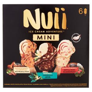 NUII Mini Adventure Cioccolato Bianco Caramello Noci Pecan, New York Cookies Panna 6 Gelati 255 g