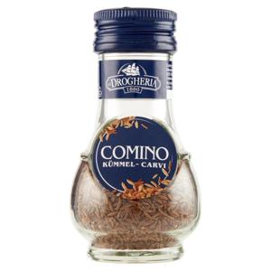 La Drogheria 1880 Comino Kümmel Carvi 35 g