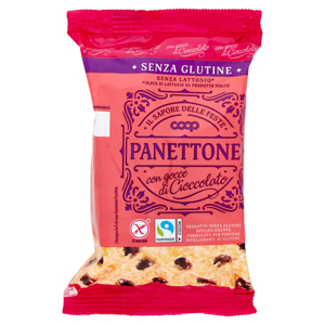 Panettone con gocce di Cioccolato Senza Glutine Senza Lattosio* 100 g