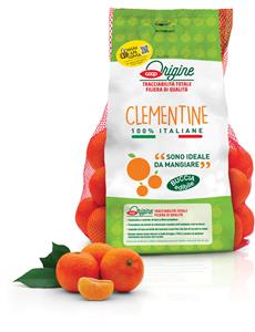 Clementine kg 2,5