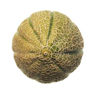 Melone retato polpa gialla