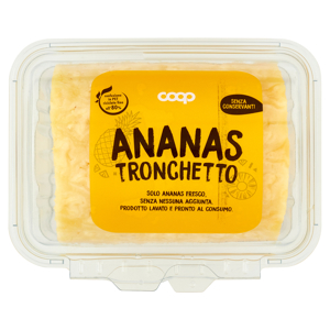 Ananas Tronchetto 500 g