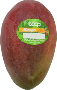 Mango g 380