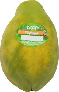 Papaya g 350