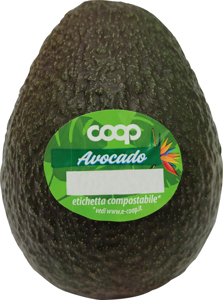 Avocado hass g 250