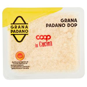 Grana Padano DOP Grattugiato 100 g