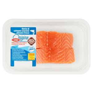 filetto di salmone scozzese allevato fresco 250 g