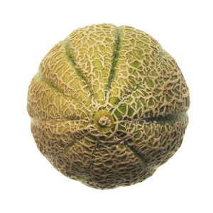 Melone retato bio polpa gialla g 800 ca