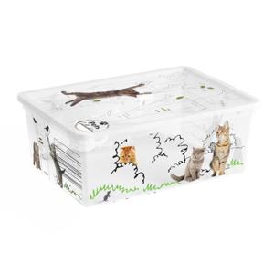 Scatola C Box S Pets Collection 37x26x14 cm