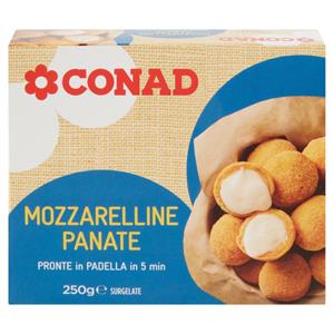 MOCARELA TE PANUARA CONAD 250 GR