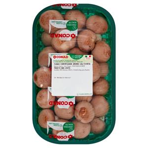 CREAM CHAMPIGNON MUSHROOMS CPQ 500 GR.