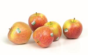 FUJI APPLES SIZE 80/85 ORIGIN ITALY CI