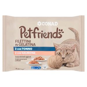 PETFR.GATTO FILETTI TON/SALM 100X4