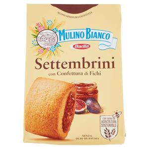 SETTEMBRINI MB 300G