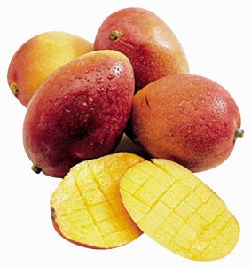 MANGO ORIGJINA BRAZIL CIL.I