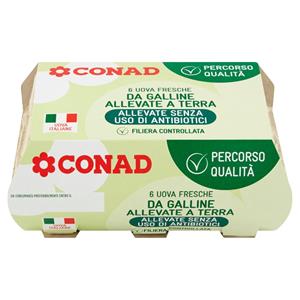 UOVA CONAD S/ANTIB.CPQ TERRA PZ.6