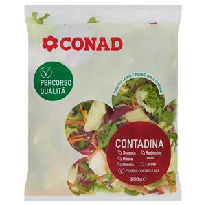 SALLATE CONTADINA CPQ 250 GR