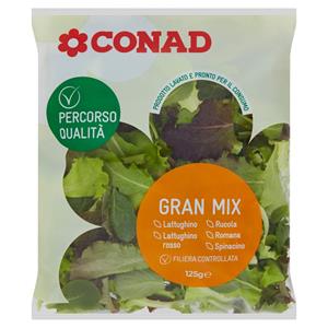 SALLATE GRAN MIX CPQ 125 GR