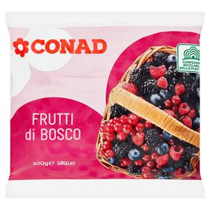 MIKS FRUTA PYLLI CONAD 300 GR