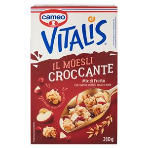 VITALIS MIX FRUTTA CAMEO 310G