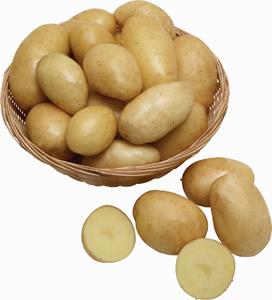 PATATE ORIGJINA SHQIPERI CIL. I