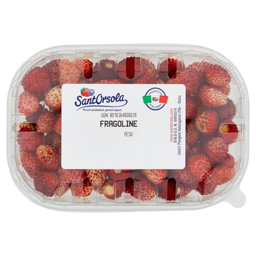 FRAGOLINE DI BOSCO            CEST GR100X10PZ I IT