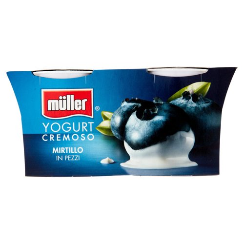 müller Yogurt Cremoso Mirtillo in Pezzi 2 x 125 g