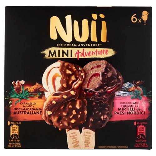 NUII Mini Adventure Caramello Salato e Noci Macadamia e Cioccolato Fondente e Mirtilli 6 Gelati 253g