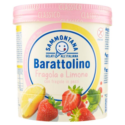 Sammontana Barattolino Classico Fragola e Limone 500 g