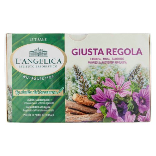 L'Angelica Le Tisane Nutraceutica Giusta Regola 20 Filtri 40 g