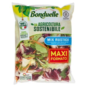 Bonduelle Mix Rustico 300 g
