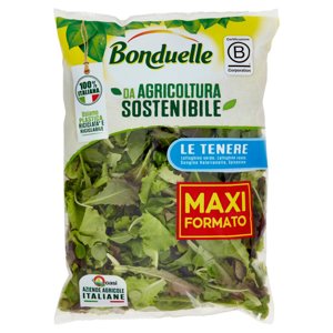 Bonduelle le Tenere 200 g