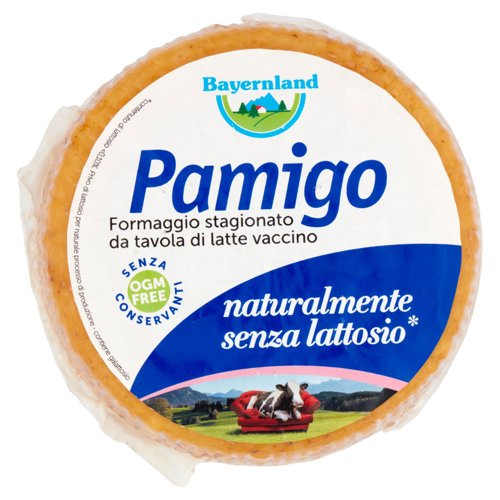 Bayernland Pamigo Baby Cestinato