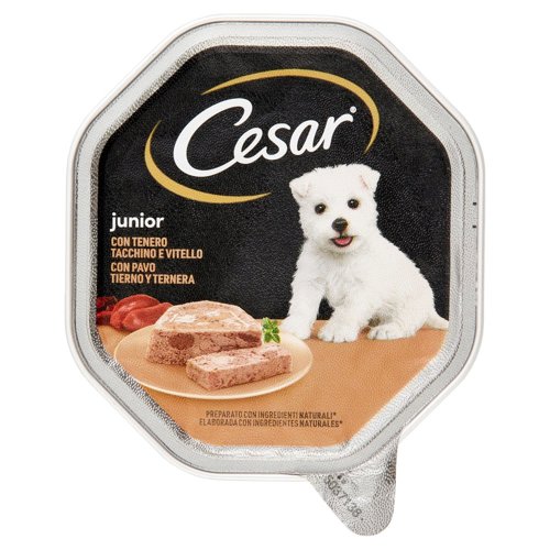 Cesar Junior Cibo Umido Cane in Vaschetta con Tenero Tacchino e Vitello 150 g