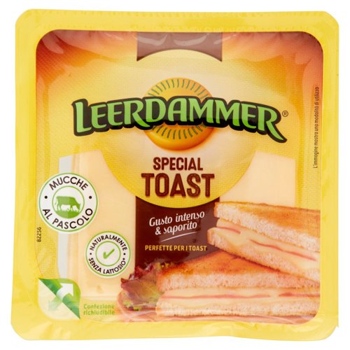 Leerdammer Special Toast Fette 6 x 21 g