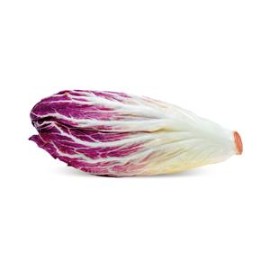 RADICCHIO LUNGO PRECOCE