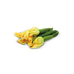 ZUCCHINE ROMANESCHE FIORE     I CS SF IT