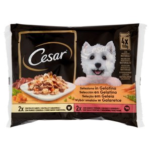 Cesar Cibo Umido Cane in Buste Selezione in Gelatina 4 x 100 g