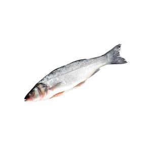 BRANZINO                      Allevato Croazia